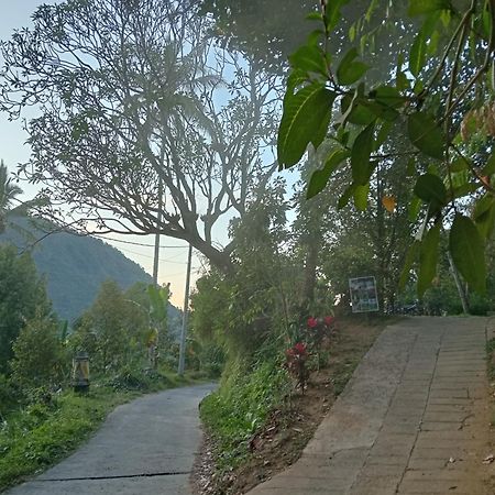 Jepun Homestay Lemukih 싱가라자 외부 사진