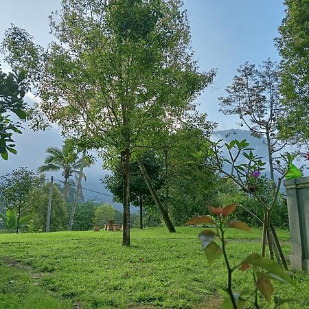 Jepun Homestay Lemukih 싱가라자 외부 사진