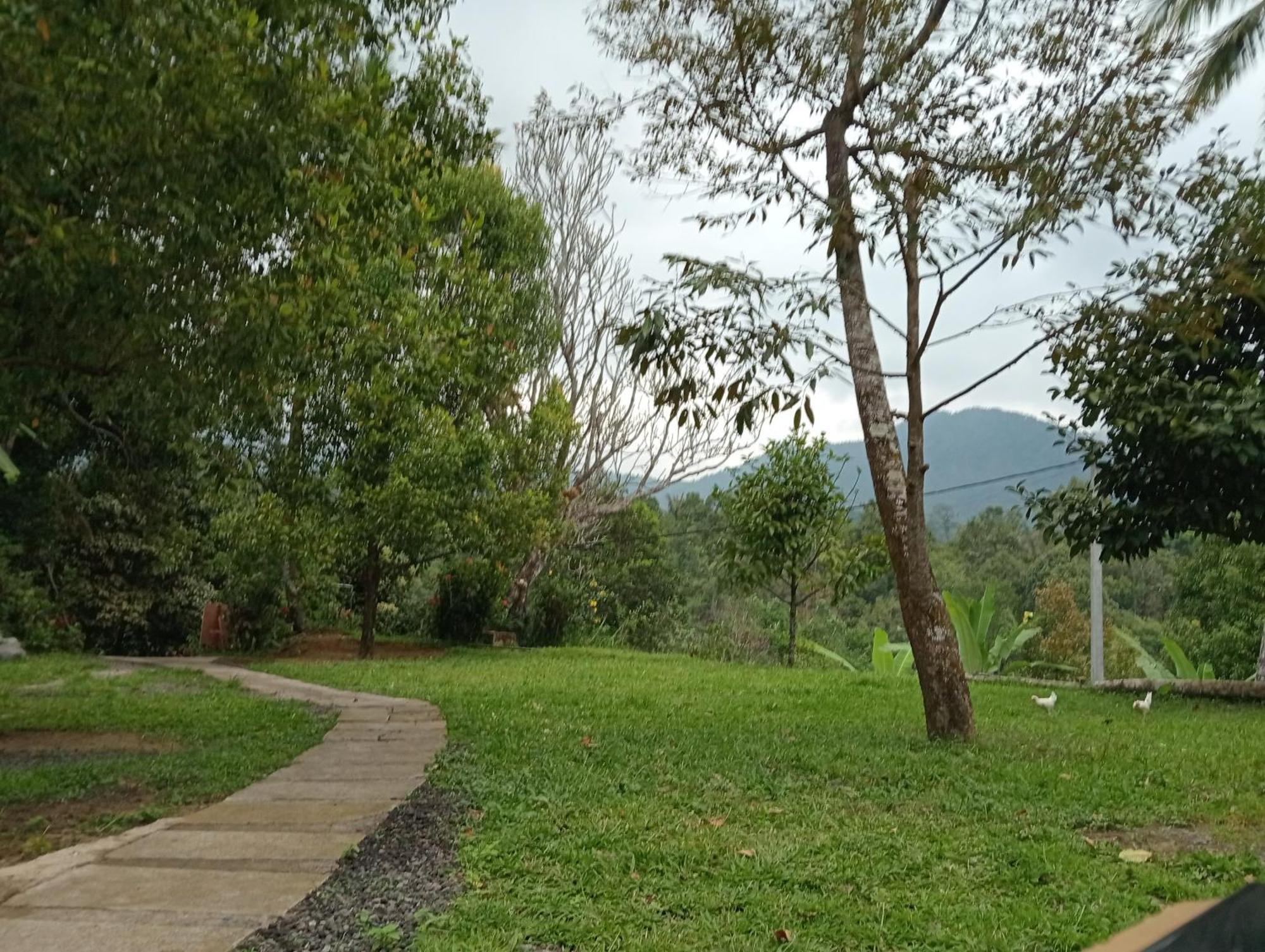 Jepun Homestay Lemukih 싱가라자 외부 사진