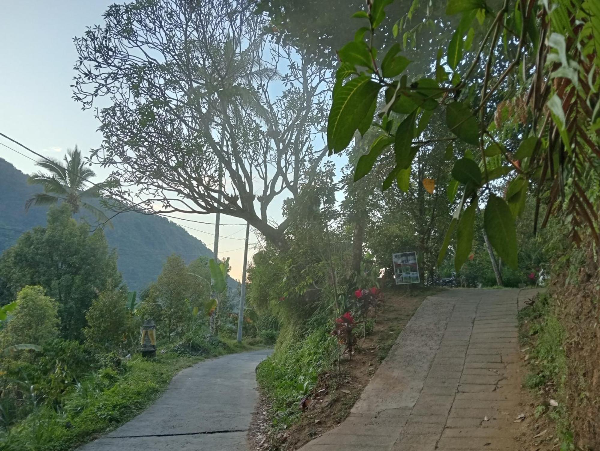 Jepun Homestay Lemukih 싱가라자 외부 사진