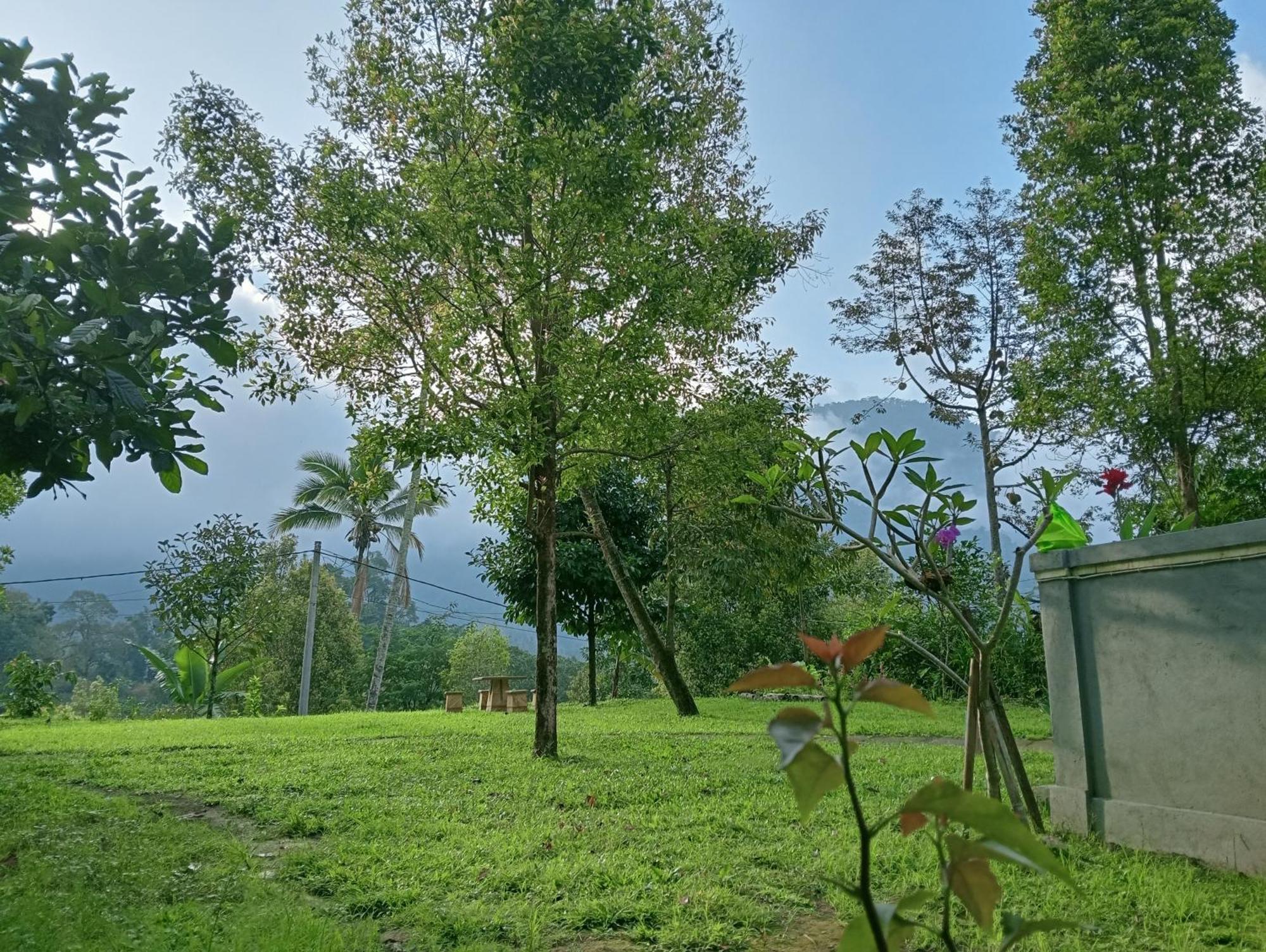 Jepun Homestay Lemukih 싱가라자 외부 사진